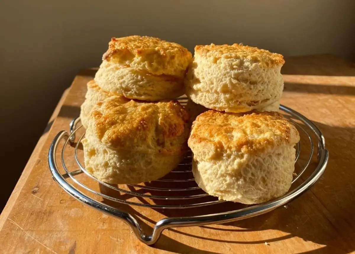 Classic Scones 2 - CERES Fair Food