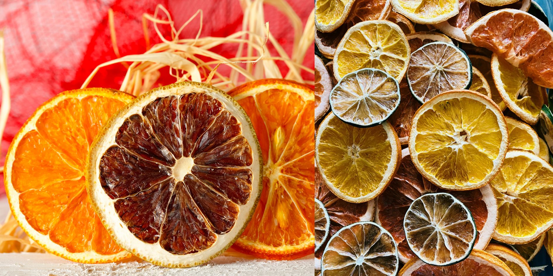 Citrus Garland 1