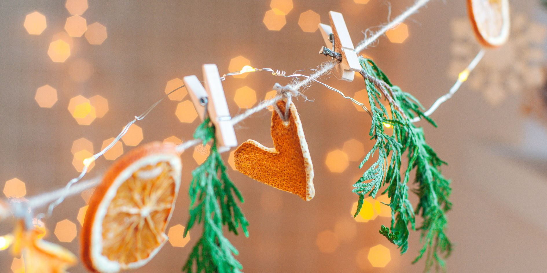 Citrus Garland 2