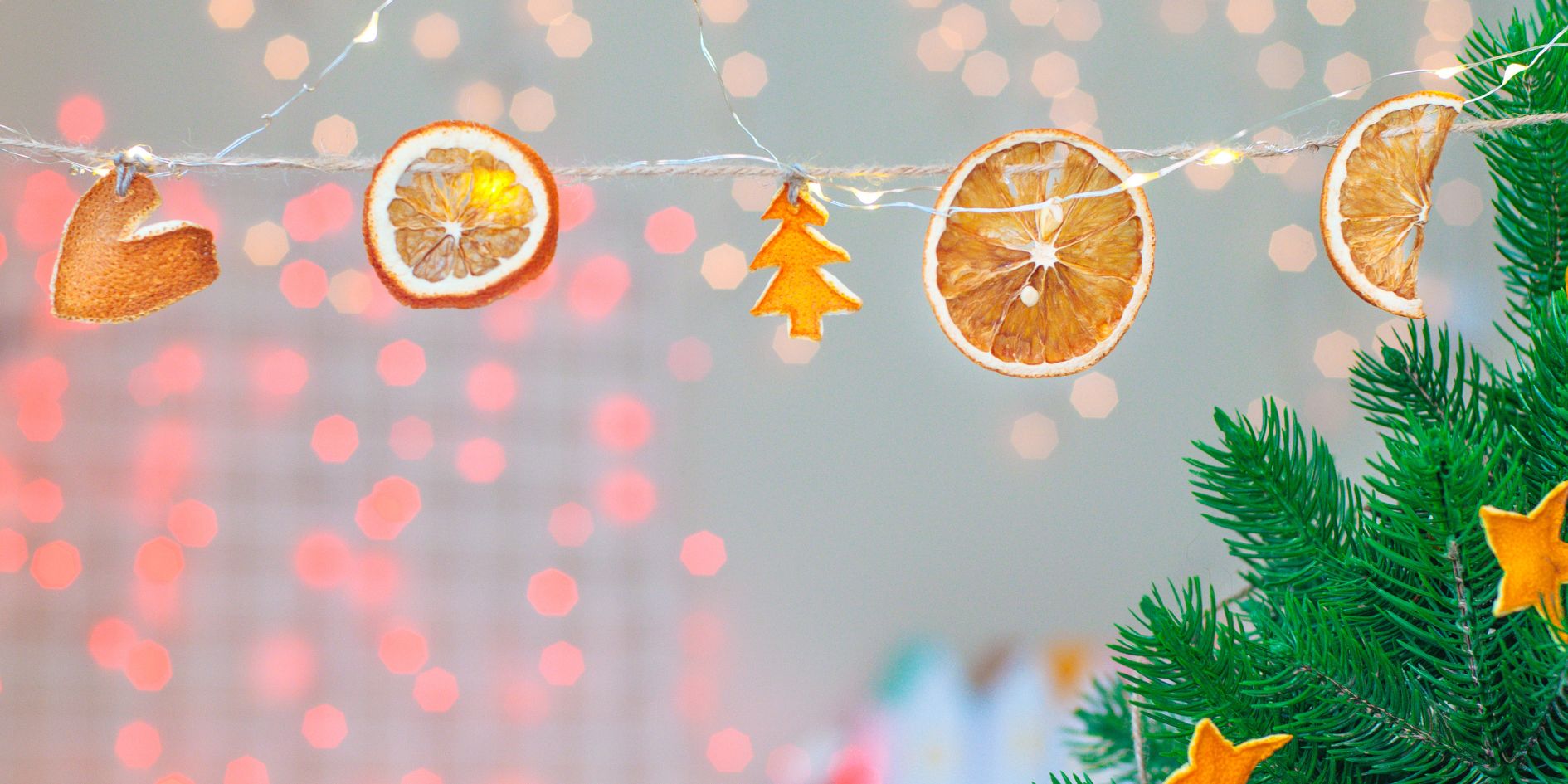 Citrus Garland 3