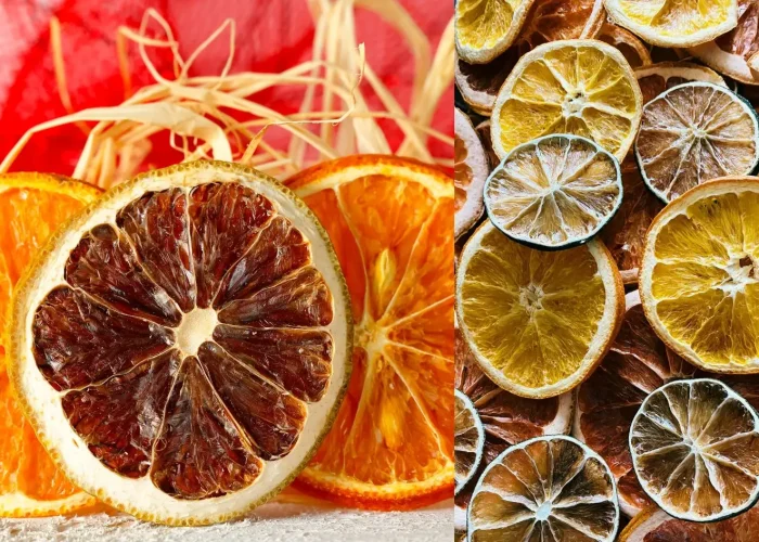 Citrus Garland 1