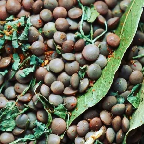Masoor-dal_lentils_edit